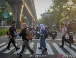 Pemprov DKI Jakarta Tanam 54.038 Bibit Mangrove hingga Pastikan LRT Velodrome-Manggarai Beroperasi Agustus 2026