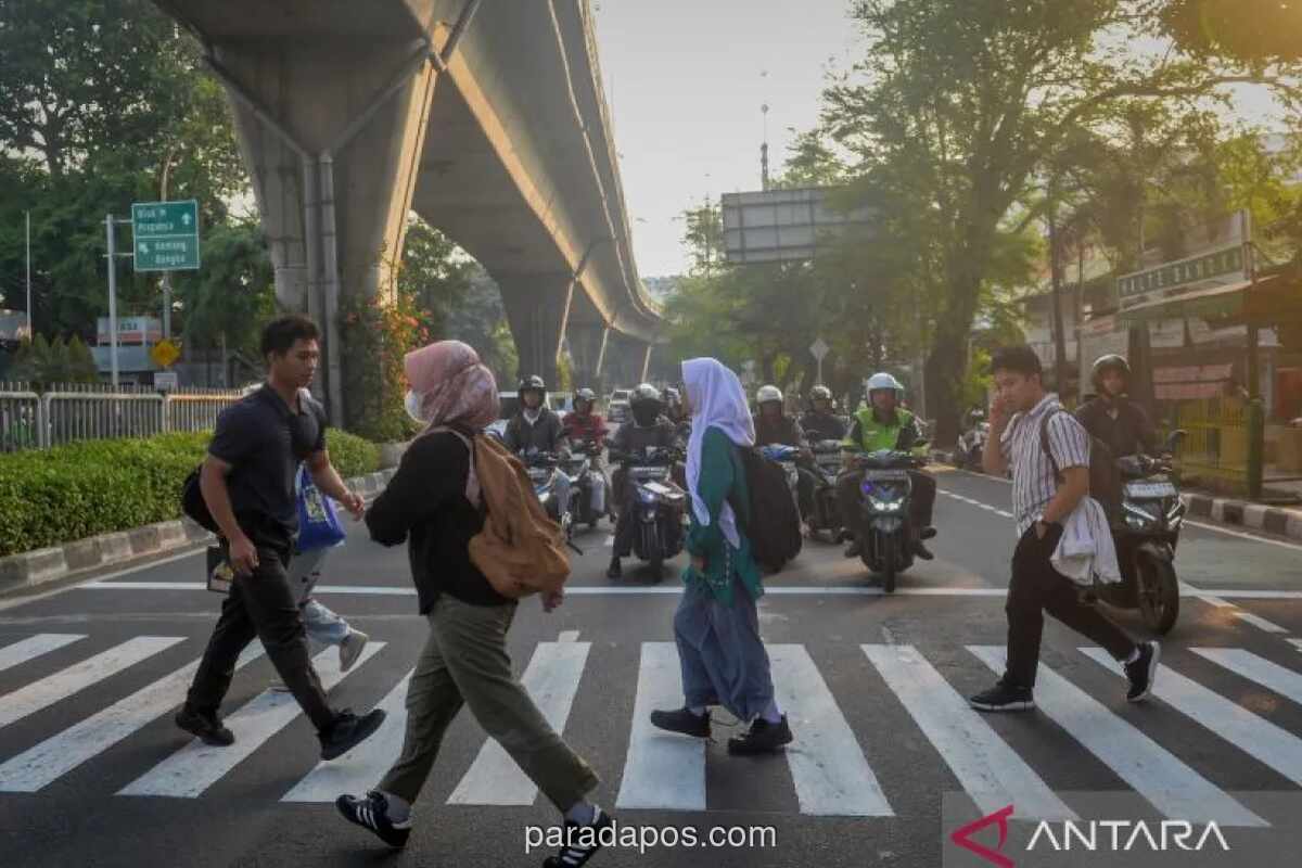 Pemprov DKI Jakarta Tanam 54.038 Bibit Mangrove hingga Pastikan LRT Velodrome-Manggarai Beroperasi Agustus 2026