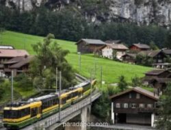 Gelombang Panas Landa Swiss, Suhu di Kawasan Pegunungan Pecahkan Rekor Sejarah