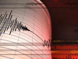 Gempa M6,4 Guncang Perairan Sulawesi Utara, BMKG Pastikan Tidak Berpotensi Tsunami