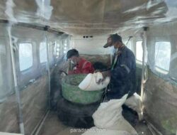 BNPB Catat Titik Panas Sumsel Melonjak Jadi 104 dalam Sehari, Operasi Modifikasi Cuaca Kembali Digelar