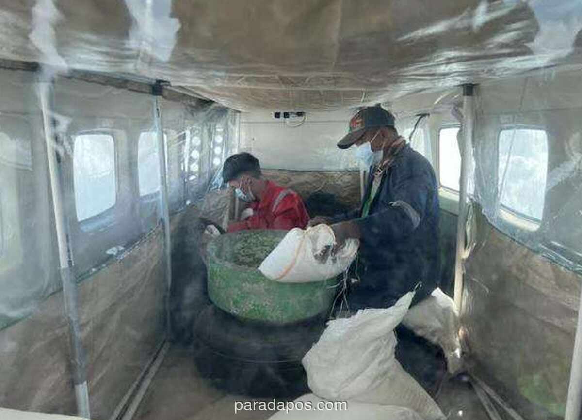 BNPB Catat Titik Panas Sumsel Melonjak Jadi 104 dalam Sehari, Operasi Modifikasi Cuaca Kembali Digelar