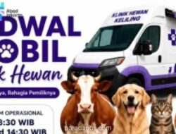 Mobil Klinik Hewan Keliling Jakarta Utara Kembali Beroperasi, Vaksinasi Rabies hingga Steril Tersedia di Enam Lokasi