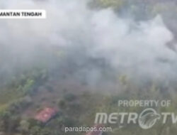 Karhutla di Kalimantan Meluas, Asap Pekat Dekati Permukiman Warga