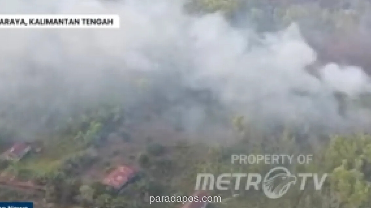 Karhutla di Kalimantan Meluas, Asap Pekat Dekati Permukiman Warga
