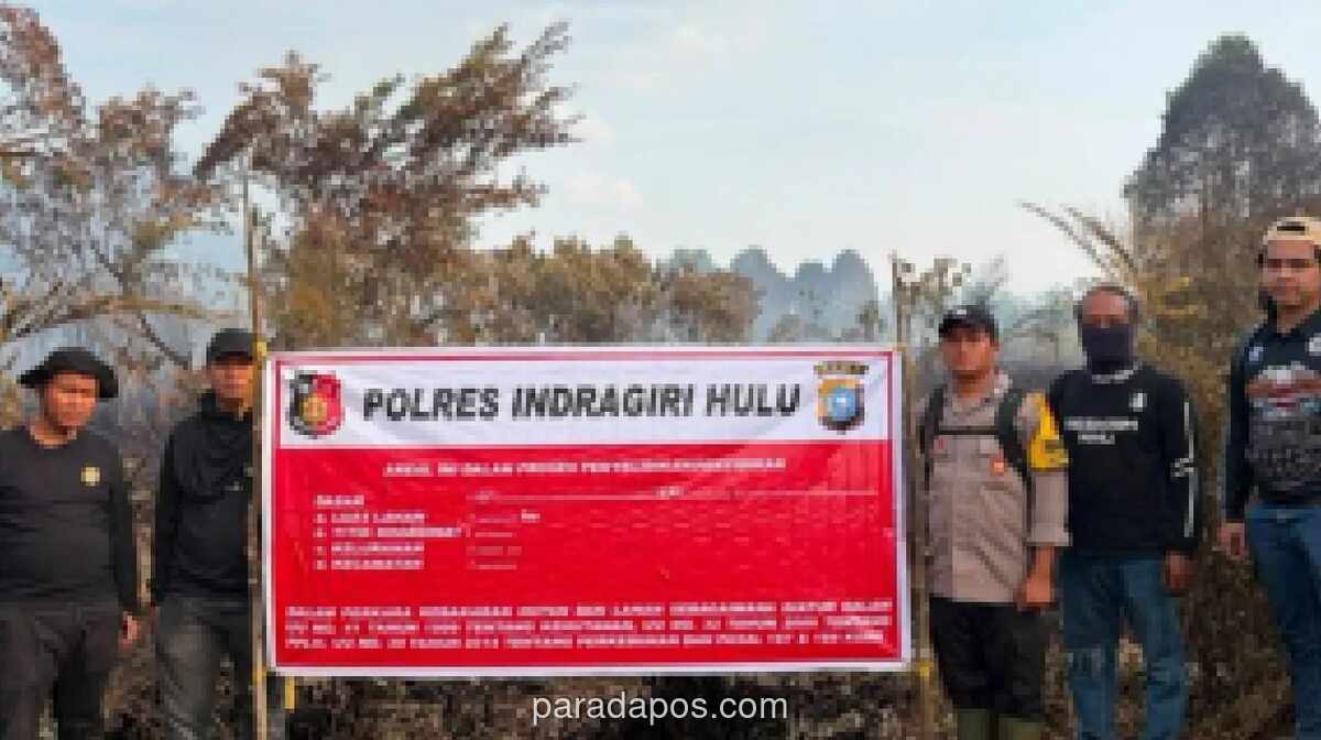Polres Inhu Tetapkan Pelangsir Sawit sebagai Tersangka Karhutla di Rengat