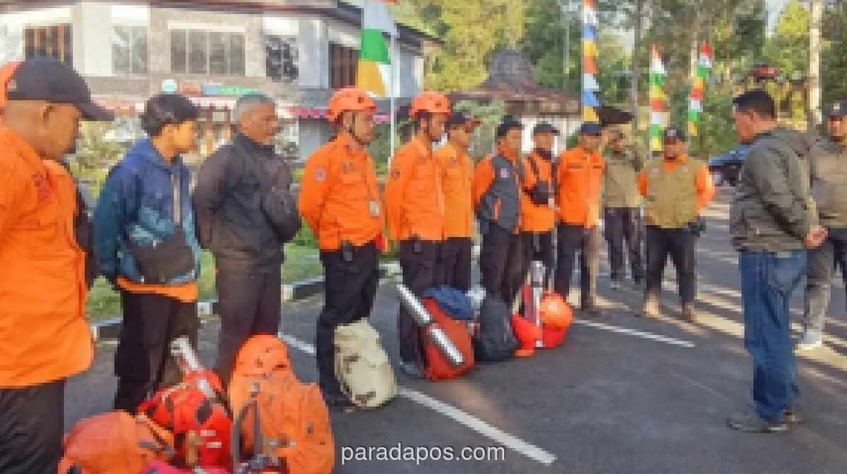 Kebakaran Lahan Satu Hektare di Kawah Wadon Gunung Gede, 25 Personel BPBD Dikerahkan