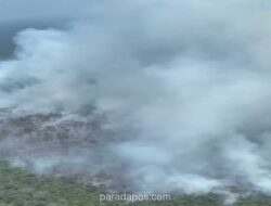 Gubernur Kalteng Turun ke Lokasi Karhutla, Tambah Helikopter Water Bombing untuk Percepat Pemadaman