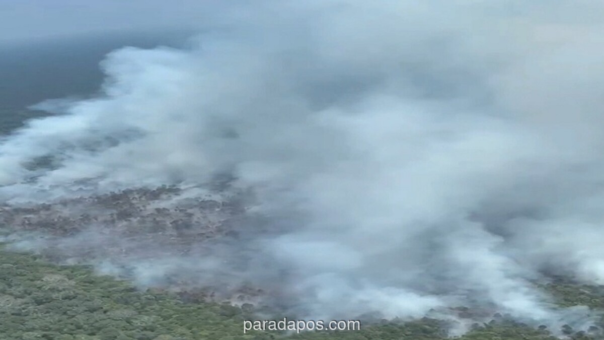 Gubernur Kalteng Turun ke Lokasi Karhutla, Tambah Helikopter Water Bombing untuk Percepat Pemadaman