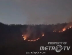 Kebakaran Savana Bromo Meluas ke Probolinggo, Sebagian Kawasan Wisata Ditutup