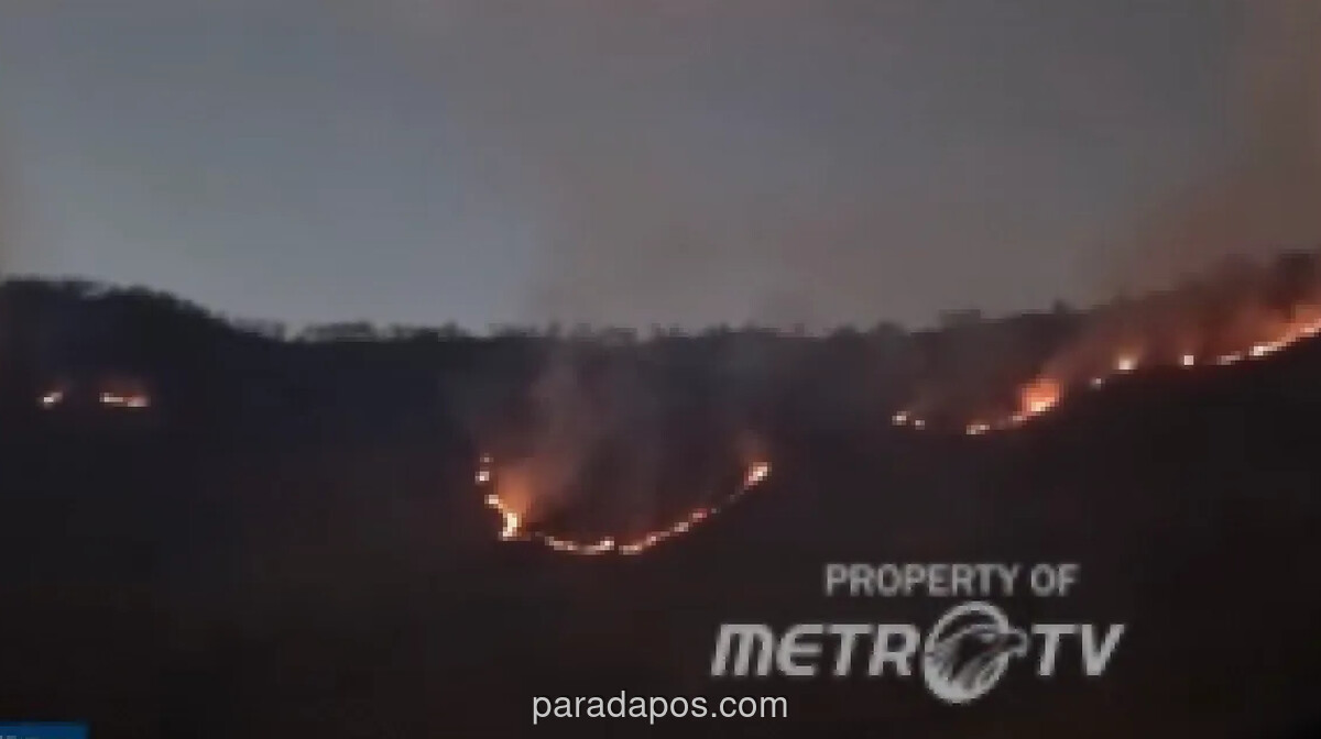 Kebakaran Savana Bromo Meluas ke Probolinggo, Sebagian Kawasan Wisata Ditutup