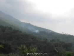 Kebakaran Hutan Kembali Landa Lereng Gunung Andong, 2 Hektare Lahan Hangus