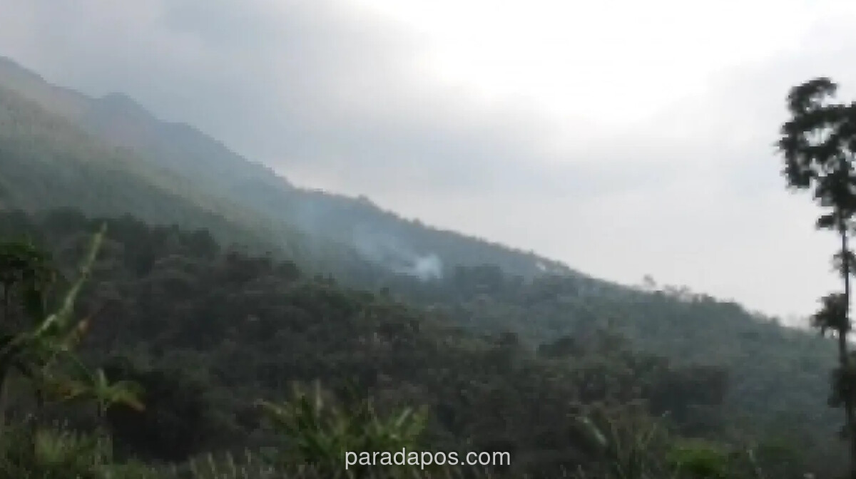 Kebakaran Hutan Kembali Landa Lereng Gunung Andong, 2 Hektare Lahan Hangus