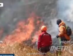 Kebakaran Savana Bromo Meluas ke 520 Hektare, Seluruh Akses Wisata Ditutup