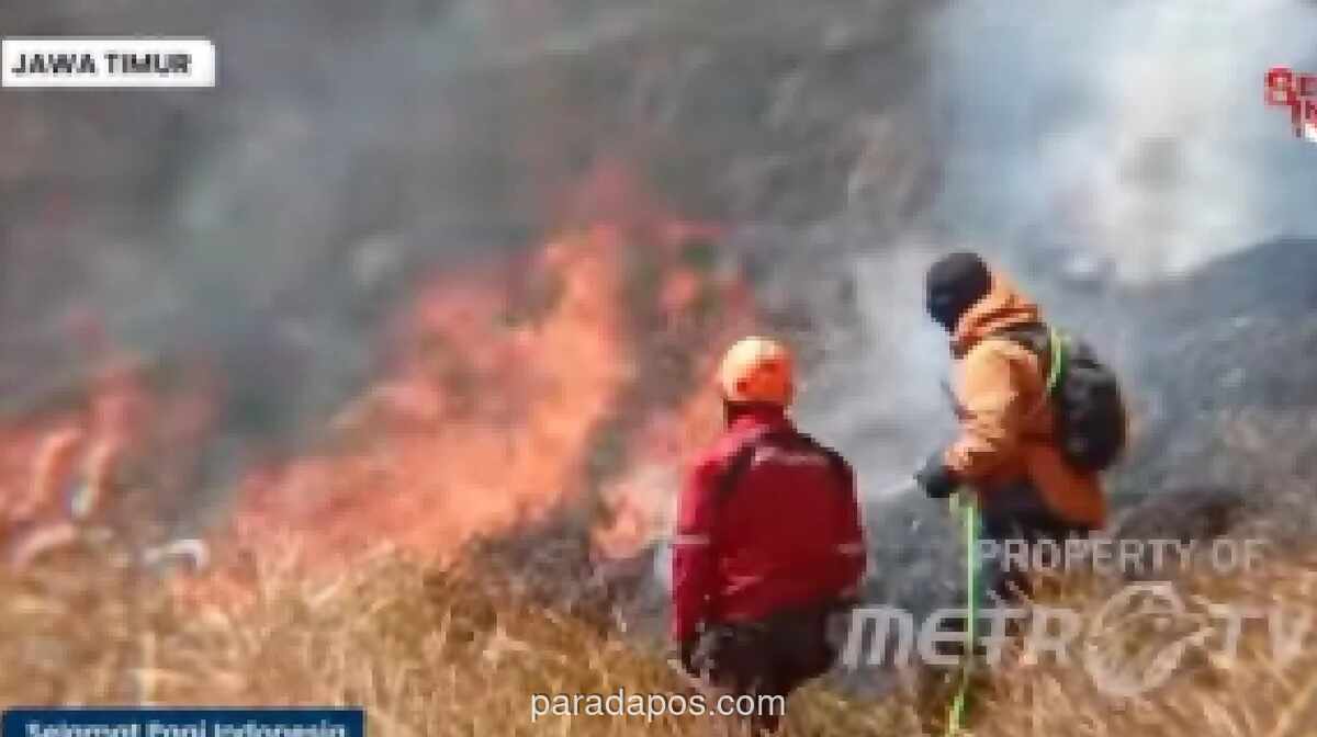 Kebakaran Savana Bromo Meluas ke 520 Hektare, Seluruh Akses Wisata Ditutup