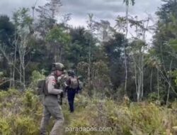 Penembakan KKB di Tolikara Tewaskan 5 Pekerja Proyek Jalan, 5 Lainnya Luka