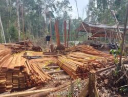 Kemenhut Serahkan Tersangka Pembalakan Liar di Solok Beserta 3 Alat Berat dan 152 Batang Kayu ke Kejaksaan