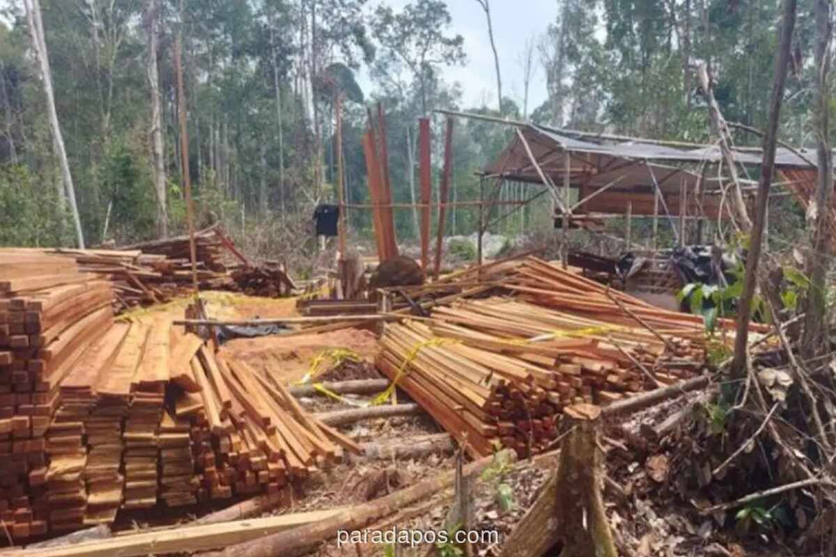 Kemenhut Serahkan Tersangka Pembalakan Liar di Solok Beserta 3 Alat Berat dan 152 Batang Kayu ke Kejaksaan