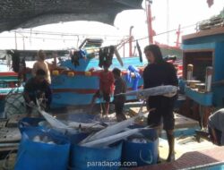 KKP Periksa Dugaan Pelanggaran Kapal Tuna di Pelabuhan Benoa, Termasuk Validasi Izin dan Registrasi IOTC