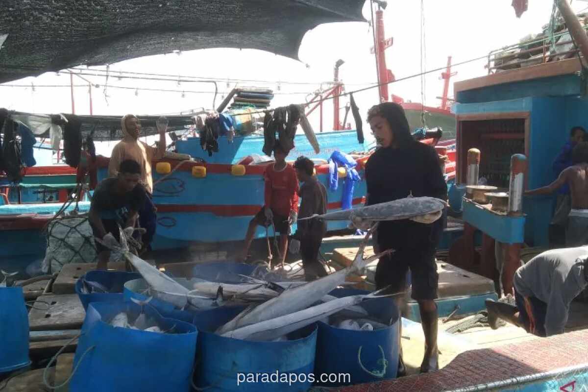 KKP Periksa Dugaan Pelanggaran Kapal Tuna di Pelabuhan Benoa, Termasuk Validasi Izin dan Registrasi IOTC