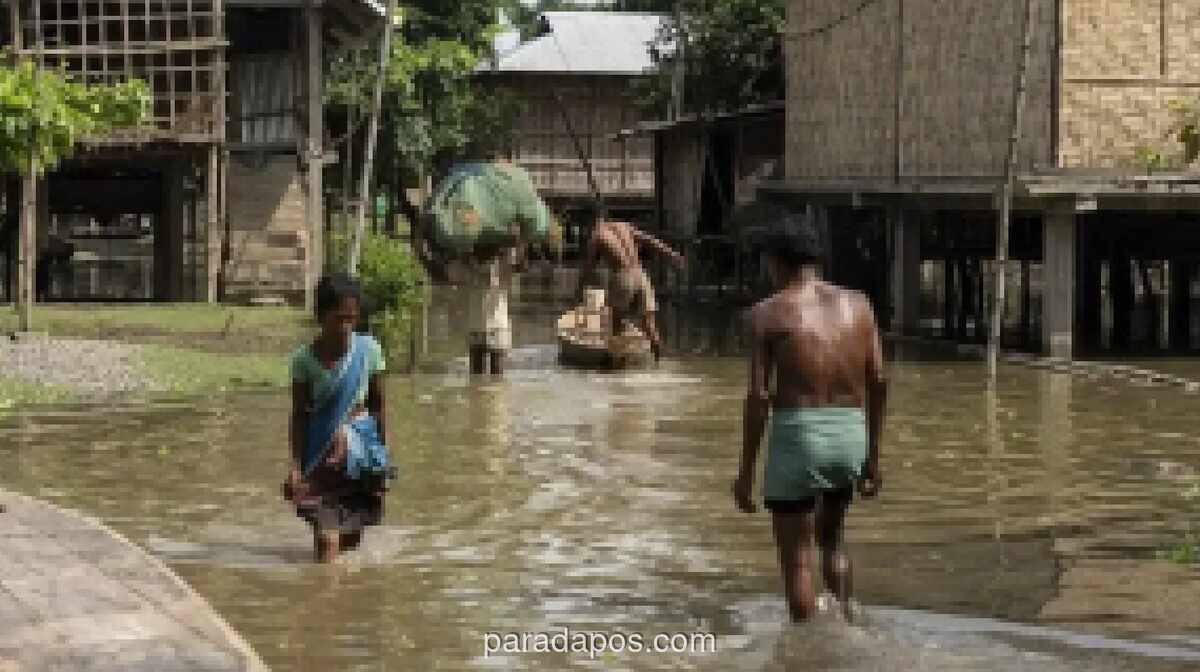 Banjir Bandang di Assam India Timur Laut Tewaskan 82 Orang, Lebih dari 1,1 Juta Jiwa Terdampak