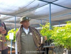 KPK Panggil Ajudan Menhut Raja Juli soal Selisih Pengembalian Uang Suap Kuansing