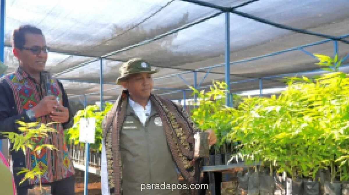 KPK Panggil Ajudan Menhut Raja Juli soal Selisih Pengembalian Uang Suap Kuansing