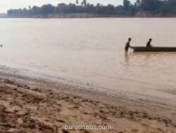Kemarau Panjang di Muaro Jambi, Debit Sungai Batanghari Menyusut: Warga Krisis Air Bersih dan Petani Keramba Rugi Besar