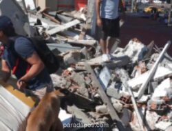 Gempa Magnitudo 7,4 di Kolombia Tewaskan 234 Orang, Ratusan Bangunan Runtuh