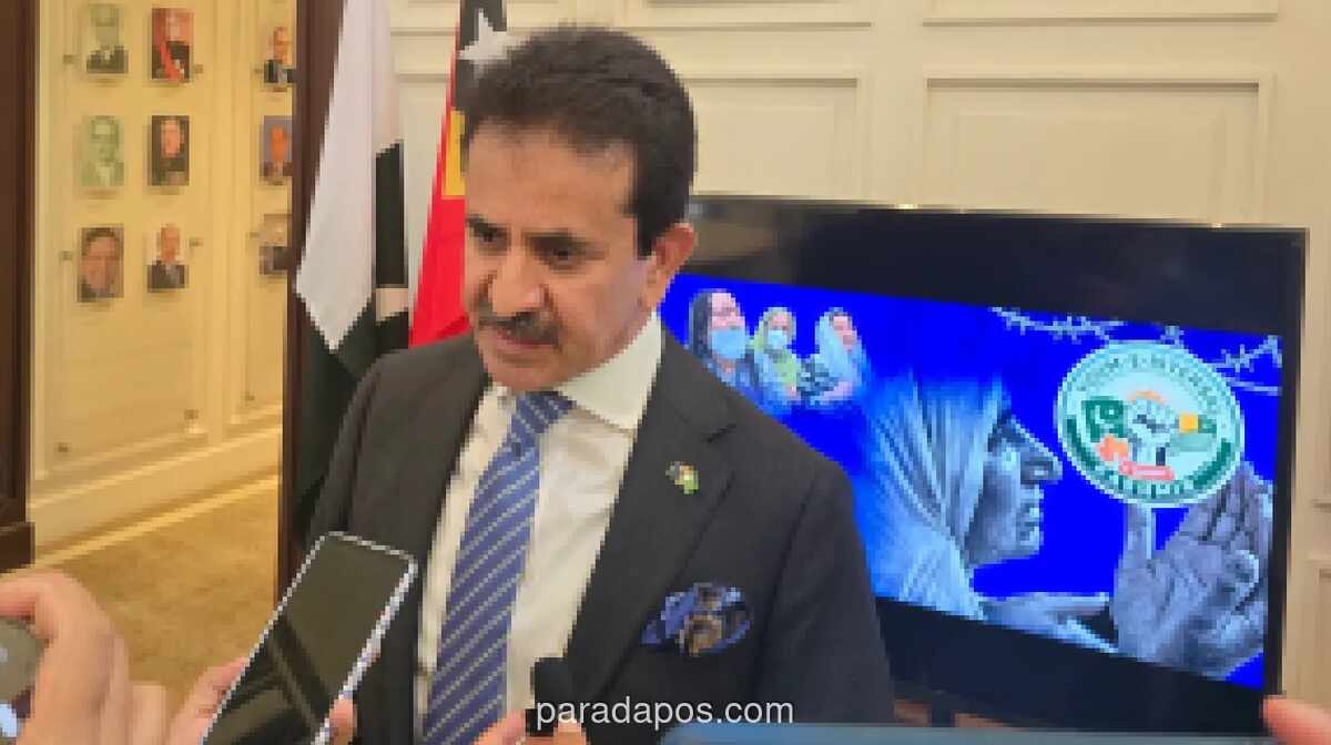 Pakistan Minta Indonesia Dorong Implementasi Resolusi DK PBB soal Kashmir