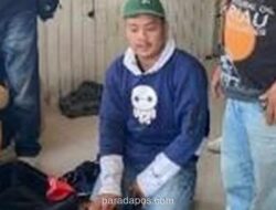 Polisi Gagalkan Penyelundupan 20 Kg Ganja di Pelabuhan Bakauheni, Kurir Menyerahkan Diri