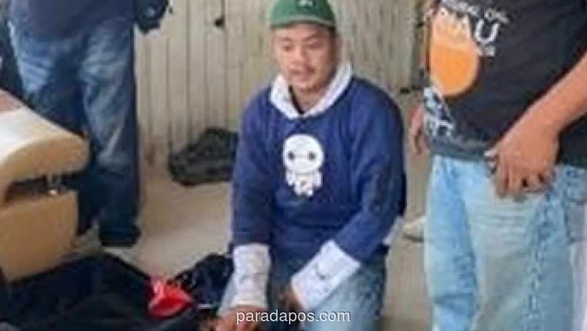 Polisi Gagalkan Penyelundupan 20 Kg Ganja di Pelabuhan Bakauheni, Kurir Menyerahkan Diri