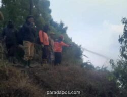 Kebakaran Hutan di TNBTS Meluas ke Perbatasan Malang-Lumajang, 257 Personel Gabungan Dikerahkan