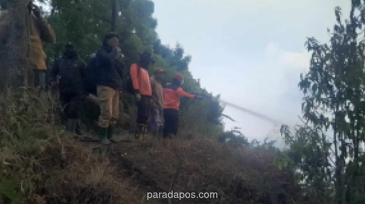 Kebakaran Hutan di TNBTS Meluas ke Perbatasan Malang-Lumajang, 257 Personel Gabungan Dikerahkan