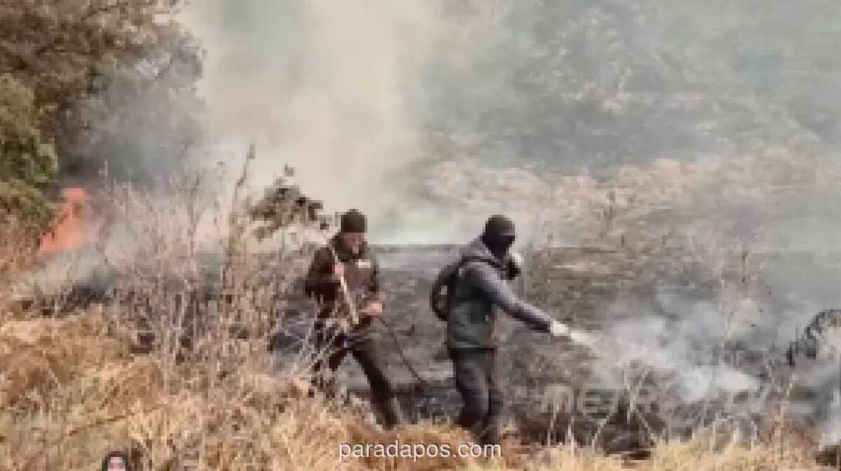 Pemerintah Tetapkan Enam Provinsi Prioritas Penanganan Karhutla, Kalbar Terparah dengan 28.680 Hektare Terbakar