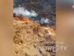 Pemkab Cianjur Siagakan Armada Pemadam hingga Desa Usai 20 Hektare Lahan di Gunung Gede Terbakar
