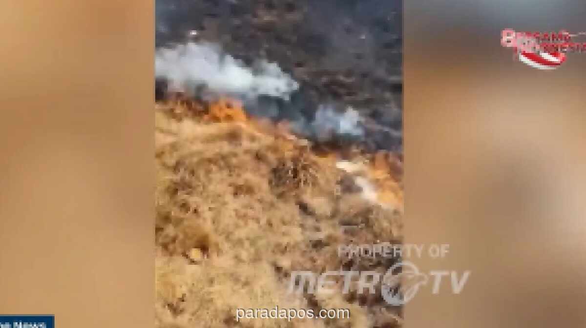 Pemkab Cianjur Siagakan Armada Pemadam hingga Desa Usai 20 Hektare Lahan di Gunung Gede Terbakar