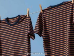 Zalmore Luncurkan Lima Varian Kain Baru untuk Perkuat Daya Saing UMKM Apparel Lokal