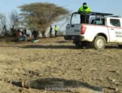 Pesawat Wisata Jatuh di Gurun Nazca, Peru: 13 Penumpang dan Kru Tewas, Sebagian Besar WNA