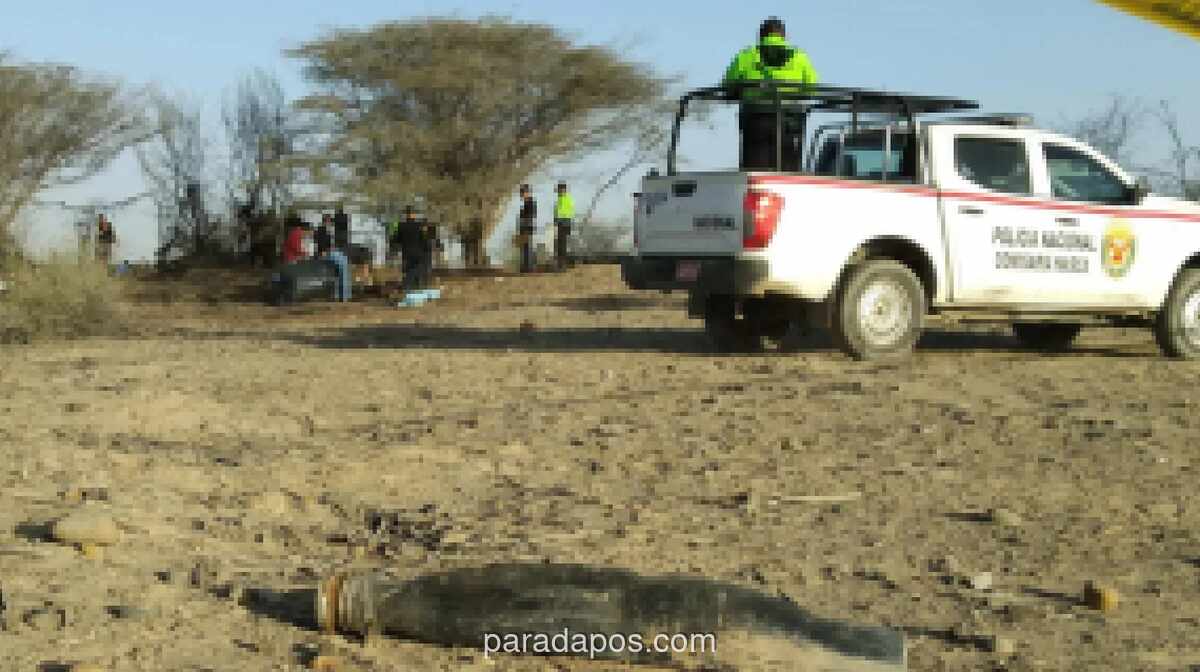 Pesawat Wisata Jatuh di Gurun Nazca, Peru: 13 Penumpang dan Kru Tewas, Sebagian Besar WNA