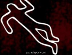 Plt KUA Pulau Beringin Tewas Ditikam di Parkiran Kantor, Polisi Buru Pelaku