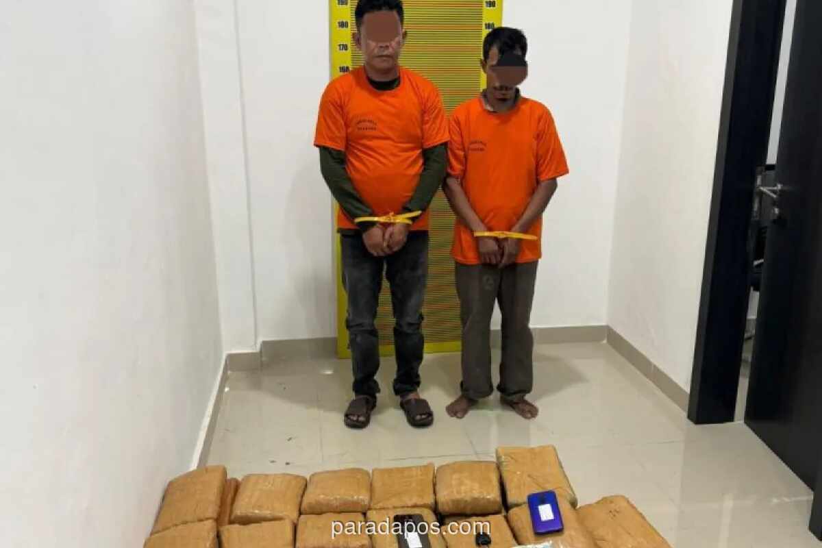 Polda Sumut Sita 169,6 Kg Ganja dari Dua Lokasi di Deli Serdang, Tiga Kurir Ditangkap