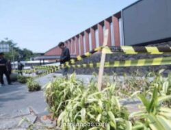 Polisi Masih Mendalami Penebangan 10 Pohon di Jalan Riau Bandung, Tersangka Belum Ditetapkan