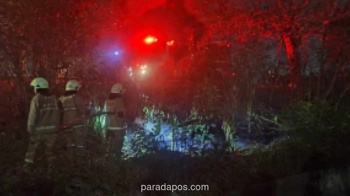 Kebakaran Semak di Cilincing Dipicu Puntung Rokok, Damkar Padamkan dalam 29 Menit