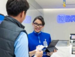BRI Rilis Simulasi Cicilan KUR Rp50 Juta per Tenor, dari 12 hingga 60 Bulan