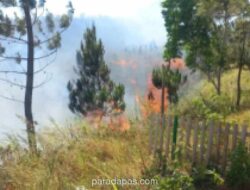BMKG: 117 Wilayah di Sulut Masuk Kategori Hari Tanpa Hujan, 13 Lokasi Kering Lebih dari 60 Hari