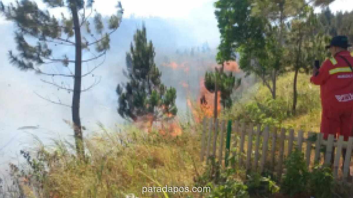 BMKG: 117 Wilayah di Sulut Masuk Kategori Hari Tanpa Hujan, 13 Lokasi Kering Lebih dari 60 Hari