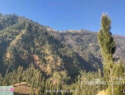 Kebakaran Bromo Tersisa Satu Titik di Pasuruan, Luas Lahan Terdampak Capai 889 Hektare