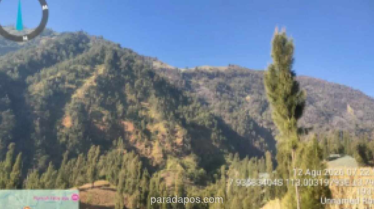 Kebakaran Bromo Tersisa Satu Titik di Pasuruan, Luas Lahan Terdampak Capai 889 Hektare
