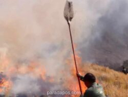 Kebakaran Bromo Diduga Dipicu Perapian Pelintas Jalur Tradisional, TNBTS Fokus Padamkan Api